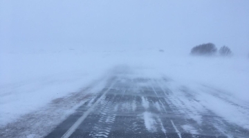 На Урале из-за плохой уборки снега в авариях погибли 10 человек