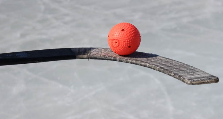 В Краснотурьинске прошло первенство по хоккею с мячом. Результаты