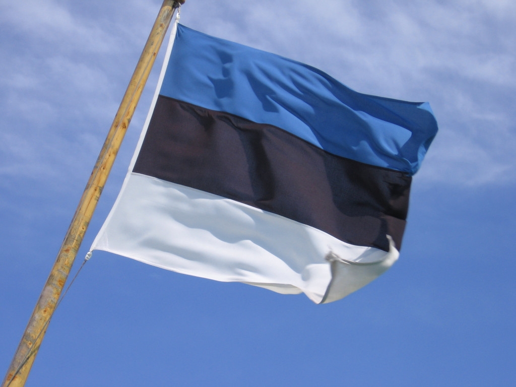 Российский сенатор призвал президента Эстонии следить за языком
