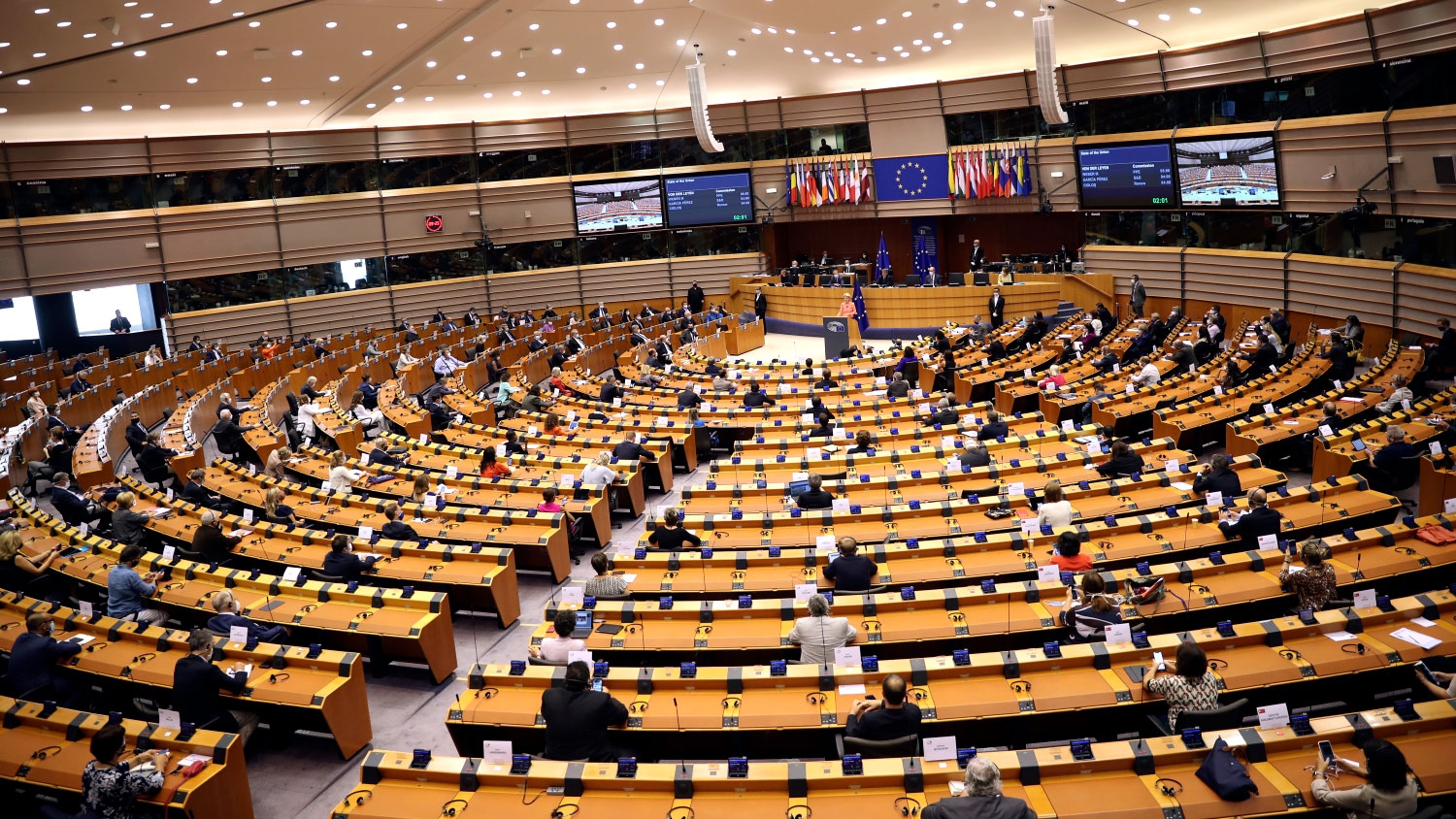 В Европарламенте призвали выдать Киеву проживающих в ЕС украинских мужчин