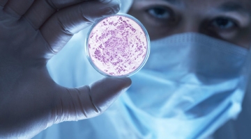 Ученые предупредили о возможной пандемии из-за сибирских зомби-вирусов