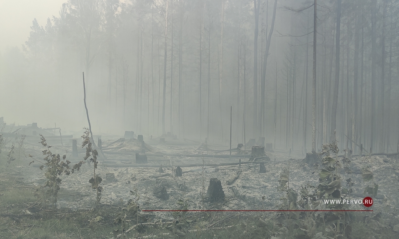 В Свердловской области потушили все лесные пожары