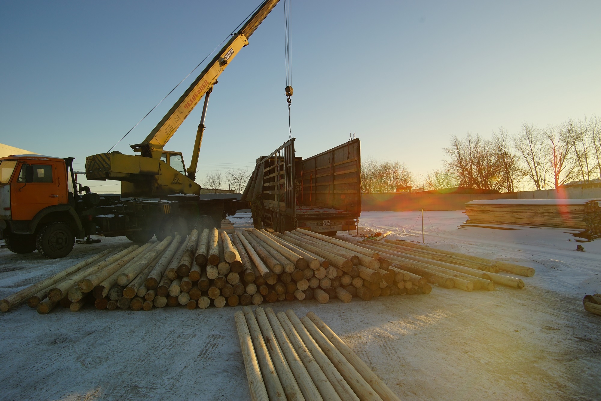 Уральские таможенники с начала года оформили экспорт круглого леса на 1,8 млн долларов