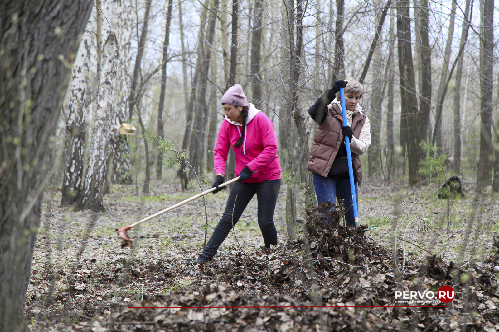 В Первоуральске парк у ДК «Горняк» привели в порядок