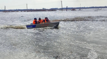 Уровень воды в Каминском Курганской области вырос на 140 см, в селе проводится эвакуация