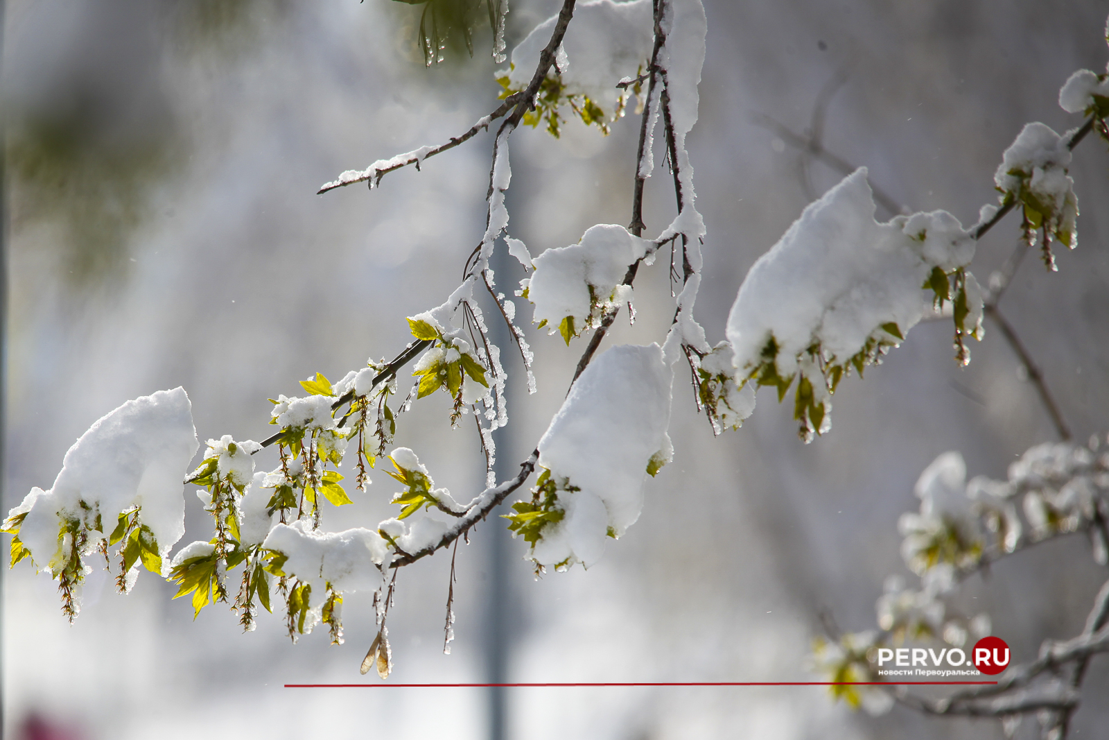 4 мая 2024 года. Снежный Первоуральск. Фотографии