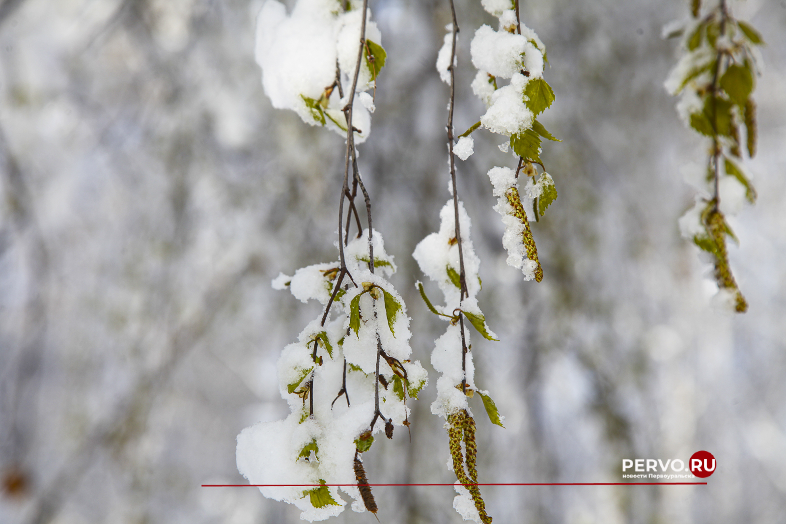 4 мая 2024 года. Снежный Первоуральск. Фотографии