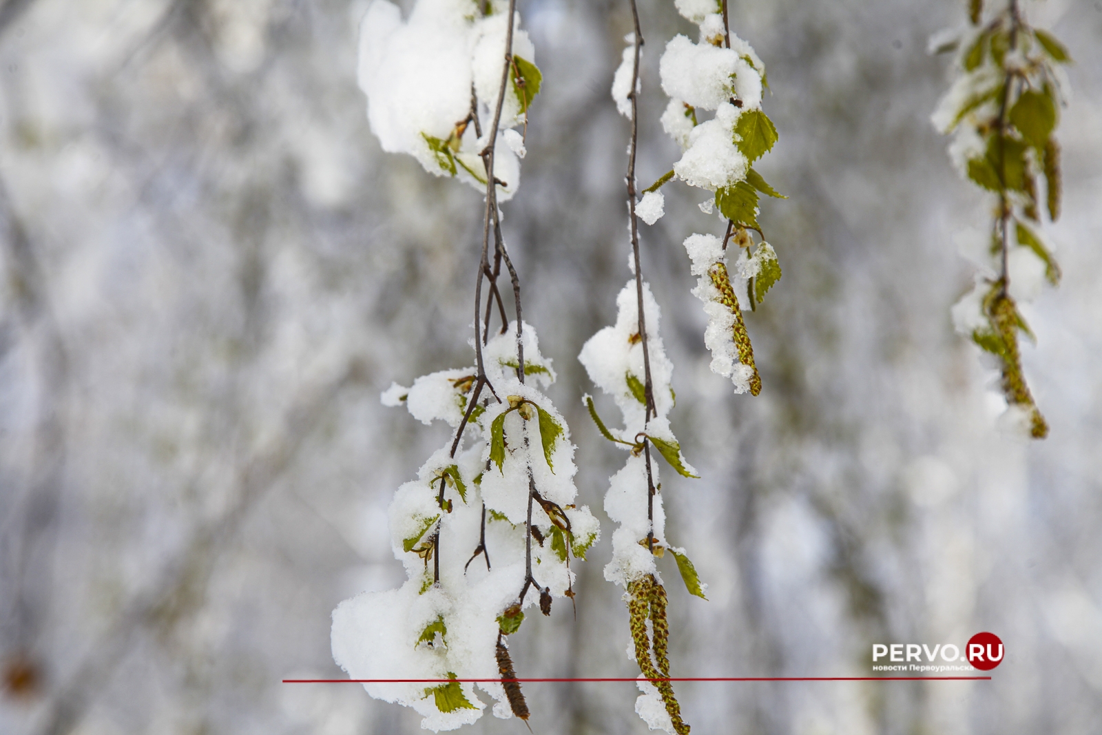 Арктическое вторжение принесёт в Первоуральск снегопады и непогоду