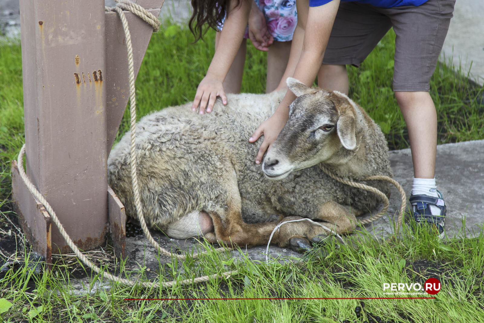 В Первоуральске отметили национальный праздник Сабантуй